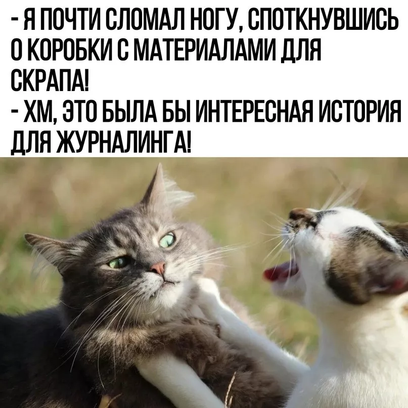 bFmvafi9LZE.jpg