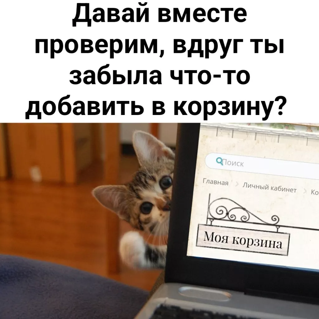 OcXCcmH9yAk.jpg