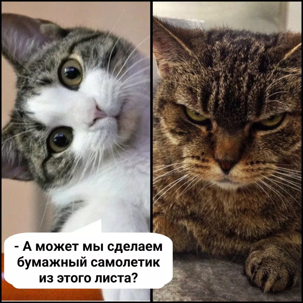 4TPCVXipdzQ.jpg