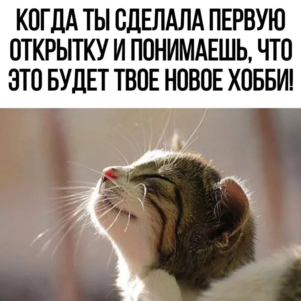 JCESiDkaxqQ.jpg