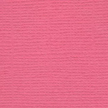 Кардсток "Розовый фламинго" (Mr.Painter)