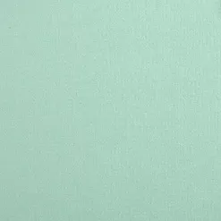 Кардсток "Мятная пастила" (Mr.P)