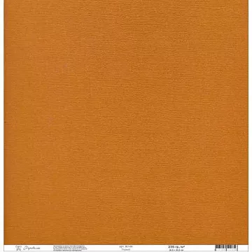 Кардсток текстурированный 30х30 см, ржавый (Рукоделие)