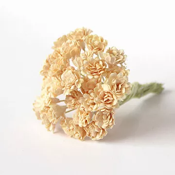 Букет гипсофил "Светло-персиковые", 10 шт (Craft)