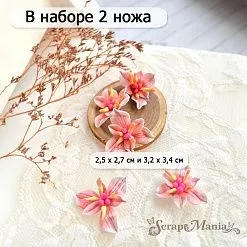 Нож "Сусак зонтичный", 3,2х3,4 см (ScrapMania) Нож "Сусак зонтичный", 3,2х3,4 см (ScrapMania)