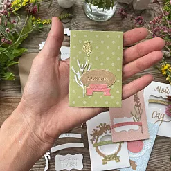 Нож "Что посеешь,- то пожнёшь", 6,7х9,7 см (MiMiCut)