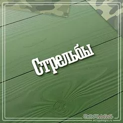 Чипборд "Стрельбы", 4,4х1,5 см (СкрапМагия)