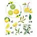Набор высечек "Лимоны", 43 шт (Scrapmama)