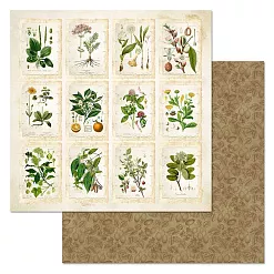 Набор бумаги 20х20 см "Заповедник", 12 листов (ScrapMania) Набор бумаги 20х20 см "Заповедник", 12 листов (ScrapMania)