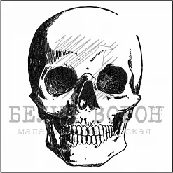 Штамп "Анфас" (Белый ворон) Штамп "Анфас" (Белый ворон)