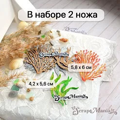 Нож "Море. Ламинария", 5,8х6 см (ScrapMania) Нож "Море. Ламинария", 5,8х6 см (ScrapMania)