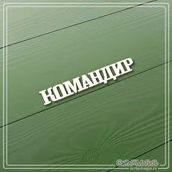 Чипборд "Командир", 1,2х7 см (СкрапМагия)