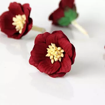 Цветок сенполии "Ягодный", 1 шт (Craft)