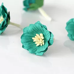 Цветок сенполии "Темно-бирюзовый", 1 шт (Craft)