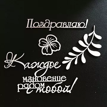 Набор украшений из чибпорда "Мгновение" (Fleur-design)