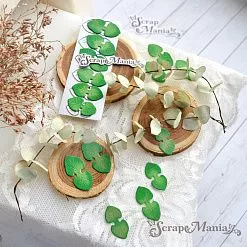 Нож "Эвкалипт. Листья", 1,4х2,8 см (ScrapMania)