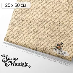 Отрез ткани 25х50 см на обложку блокнота "Ребята с нашего двора. Только вперед" (ScrapMania)