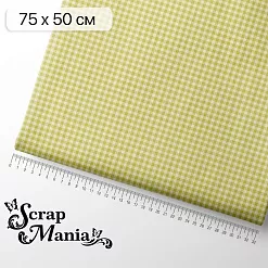 Отрез ткани 75х50 см "Художница Осень. Клетка" (ScrapMania) Отрез ткани 75х50 см "Художница Осень. Клетка" (ScrapMania)
