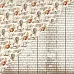 Набор бумаги 30х30 см "Quest", 24 листа (Authentique) Набор бумаги 30х30 см "Quest", 24 листа (Authentique)