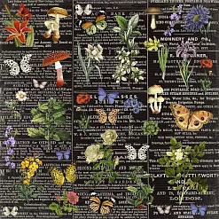 Бумага 30х30 см "Botany" (SunnyCraft)