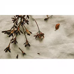 Отрез ткани 45х55 см "Канвас натуральный" (Daily Like) Отрез ткани 45х55 см "Канвас натуральный" (Daily Like)