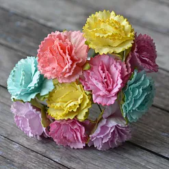 Букет гвоздик "Микс пастель", 10 шт (Craft)