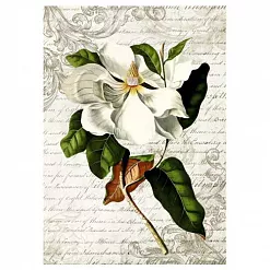 Тканевая карточка "Цветочный фейерверк. Цветок айвы" (ScrapMania)