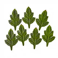 Набор листочков "Боярышник" (ScrapBerry's) Набор листочков "Боярышник" (ScrapBerry's)