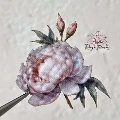 Набор высечек из ткани "Бургундский пион", 27 шт (RozeFlowers)