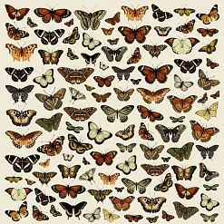 Бумага "Сад бабочек" (ScrapMania) Бумага "Сад бабочек" (ScrapMania)