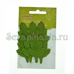 Набор листочков "Боярышник" (ScrapBerry's) Набор листочков "Боярышник" (ScrapBerry's)