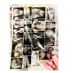 Веллум А5 "Behind Closed Doors. Снимки" (Alchemy of Art)