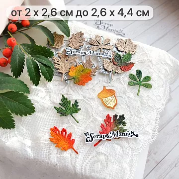 Нож "Листья леса. Гербарий дубок", 2,6х4,4 см (ScrapMania)