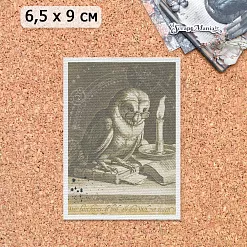 Тканевая карточка "Шепот магии. Мудрая сова" (ScrapMania)