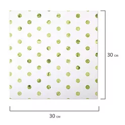 Набор бумаги 30х30 см "Рустик", 12 листов (Остров сокровищ)