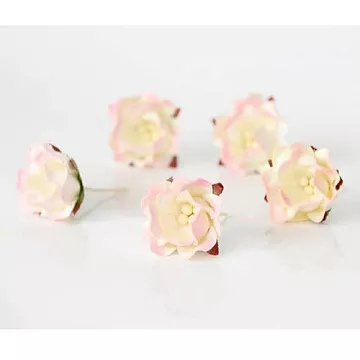 Цветок яблони "Светло-розовый с молочным", 1 шт (Craft)