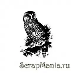 Штамп "Сова" (Скрапклуб) Штамп "Сова" (Скрапклуб)