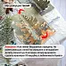 Нож "Открытка 3D. Средняя елка", 6х7,5 см (ScrapMania)
