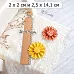 Нож "Розетка. Зубчатая", 2,5х14 см (ScrapMania)