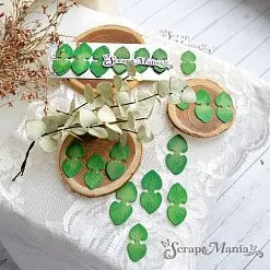 Нож "Эвкалипт. Листья", 1,4х2,8 см (ScrapMania)