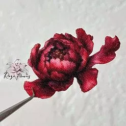 Набор высечек из ткани "Бургундский пион", 27 шт (RozeFlowers)