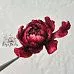 Набор высечек из ткани "Бургундский пион", 27 шт (RozeFlowers)