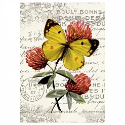 Тканевая карточка "Цветочный фейерверк. Клевер" (ScrapMania)