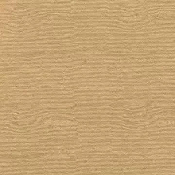 Кардсток текстурированный 30х30 см, латте (Рукоделие)