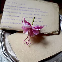Нож "Фуксия" (Scrapfriend)