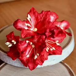 Букет лилий "Красный", 5 шт (Craft) Букет лилий "Красный", 5 шт (Craft)