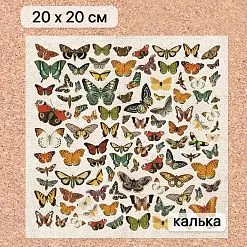 Калька 20х20 см "Заповедник 13", плотность 110 гр/м2 (ScrapMania) Калька 20х20 см "Заповедник 13", плотность 110 гр/м2 (ScrapMania)