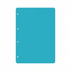 Набор пластиковых листов А4 "Прозрачные вертикальные. Скругленный угол. 4 отверстия", толщина 0,5 мм (CraftStory)