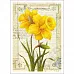 Тканевая карточка мини "Ботанический сад. Нарциссы" (ScrapMania) Тканевая карточка мини "Ботанический сад. Нарциссы" (ScrapMania)