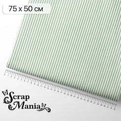 Отрез ткани 75х50 см "Свадебное торжество. Мятная полоска" (ScrapMania) Отрез ткани 75х50 см "Свадебное торжество. Мятная полоска" (ScrapMania)
